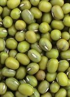 【豆类大全】常见的豆子种类有哪些，多吃豆类有什么好处_买购网