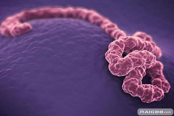 盘点人类历史上最骇人的十大病毒 埃博拉病毒